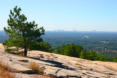 Metro Atlanta Property Management